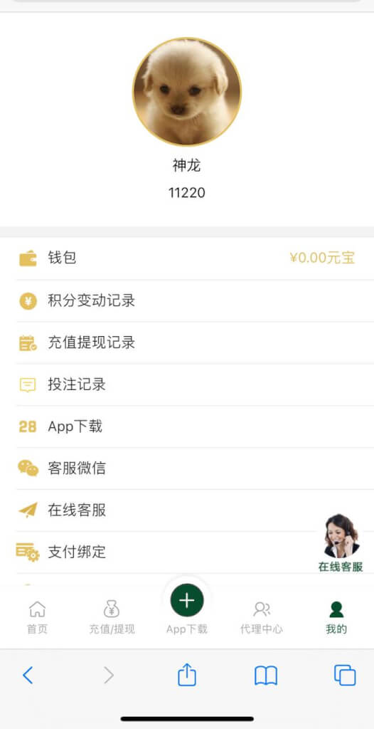 旗舰万汇城28源码/h5彩票源码/彩票控制APP/带机器人/幸运28系统/微信扫码进入